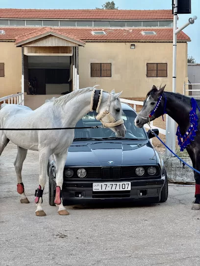 اسطبلات الريم للفروسية