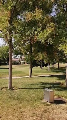 كينغز أكاديمي