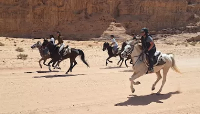 Horse Riding Tours Jordan