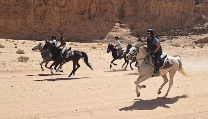 Horse Riding Tours Jordan