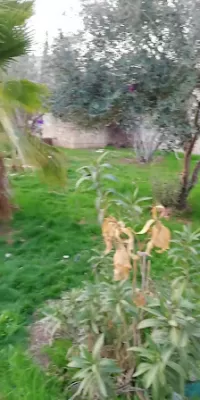 قرى الاطفال Sos عمان