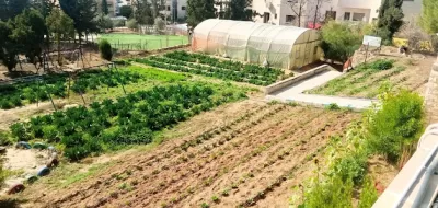قرى الاطفال Sos عمان