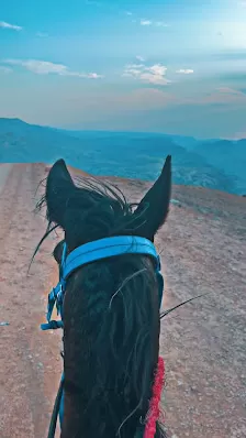Petra Horse Riding