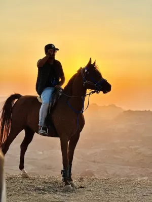 Petra Horse Riding