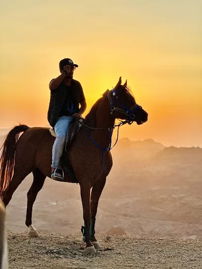 Petra Horse Riding