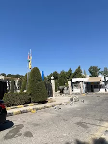 كلية التربية الرياضية