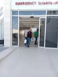 شركة الهدهد لمكافحة الحشرات والقوارض والتعقيم وتنسيق الحدائق