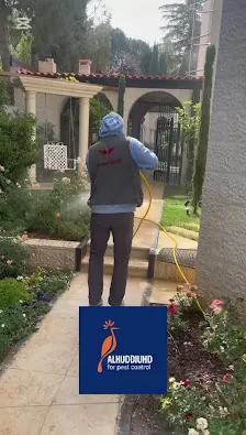 شركة الهدهد لمكافحة الحشرات والقوارض والتعقيم وتنسيق الحدائق