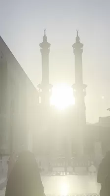 مارشال للسياحه و السفر