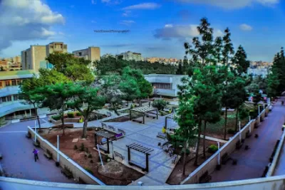 كلية الهندسة