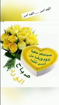 ضراغمة