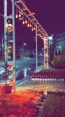 مشتل غاندي فرع وادي السير