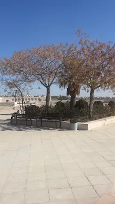 جامعة الزيتونة الاردنية