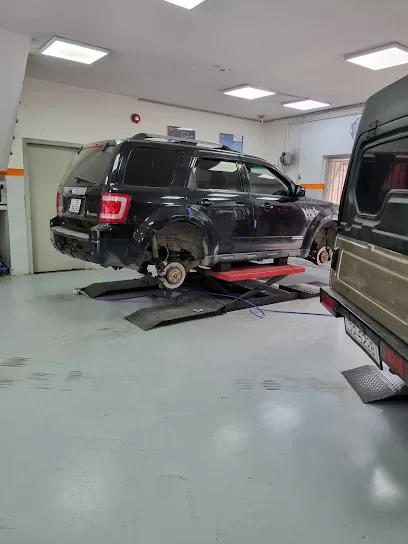 إطارات جورج أبو زيد البيادر