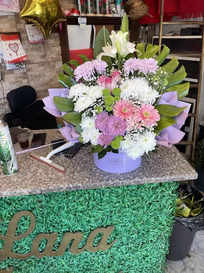 محل ورد،ازهار لانا, Flower Shop
