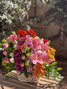 أزهار ماي جاردن