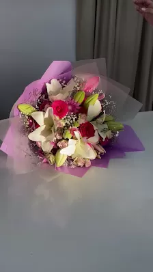 يلا ورد للزهور والنباتات