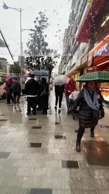 سكوربيون للسياحة والسفر