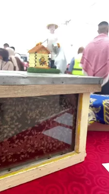 عسل الداعور / المهندس وجيه الداعور