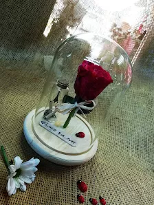 أزهار عكيلة