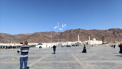 الشميساني للسياحة والسفر
