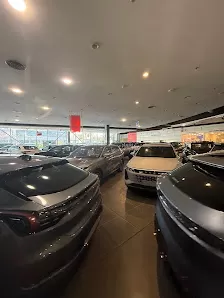 مجمع السيارات