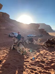 شركة الوكيل للسياحة و السفر