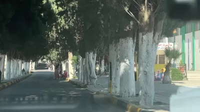 الجامعة الأردنية