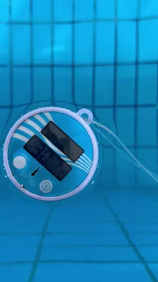 مسبح الأرقم - Swimming Pool