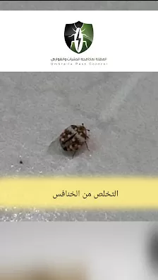 المظلة لمكافحة الحشرات والقوارض