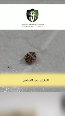 المظلة لمكافحة الحشرات والقوارض