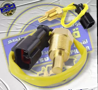 مؤسسة معتصم قعدان
