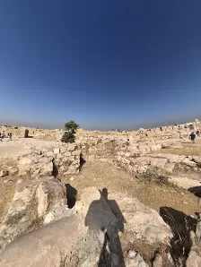 الحمام الأموي