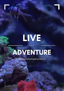 Adventure Travel & Tourism