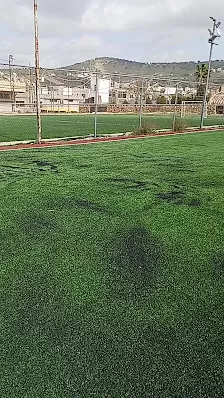 ملاعب عين الباشا الدولية