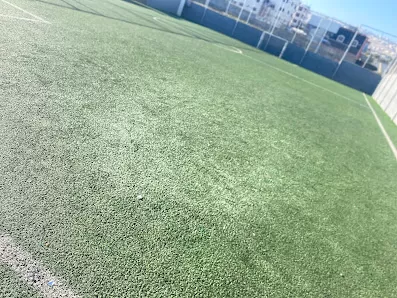ملاعب الجاغوب