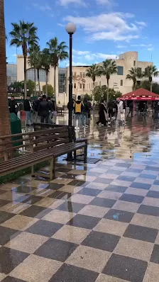 جامعة جدارا