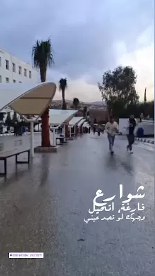 جامعة إربد الأهلية