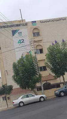 كلية الاميرة ثروت